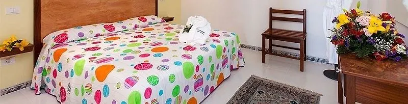 ***  Hotel Europalace 普拉亚戴尔雷安格莱斯 西班牙